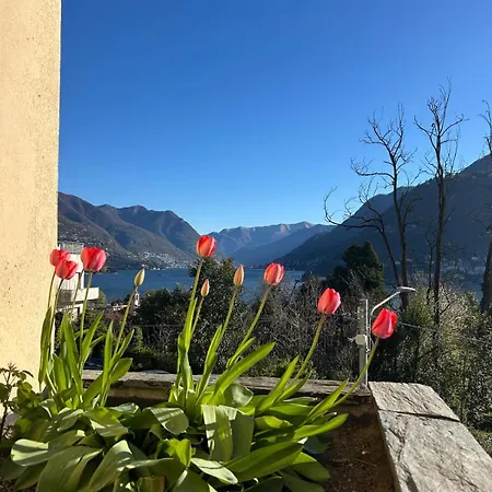 Panorama Terrace -